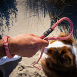 Laisse Chien Corde
