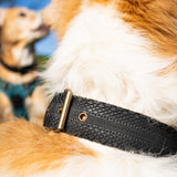 DogBelt Necklace Gravel Bicycle Tire