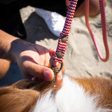 Laisse Chien Corde