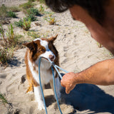 Laisse Chien Corde