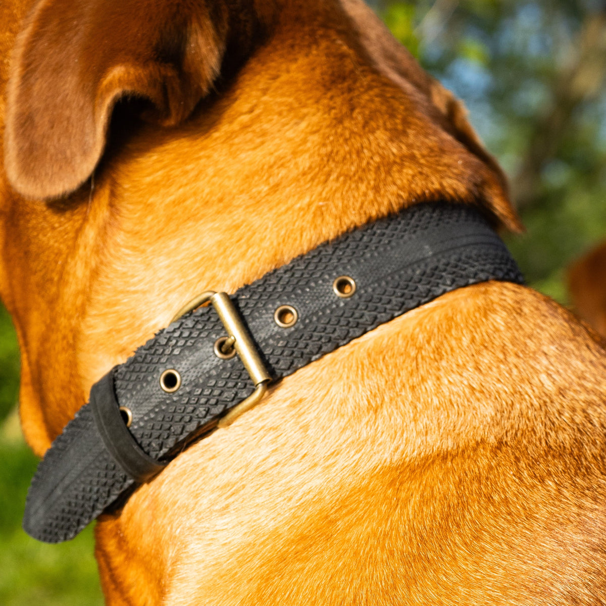 DogBelt Necklace Gravel Bicycle Tire