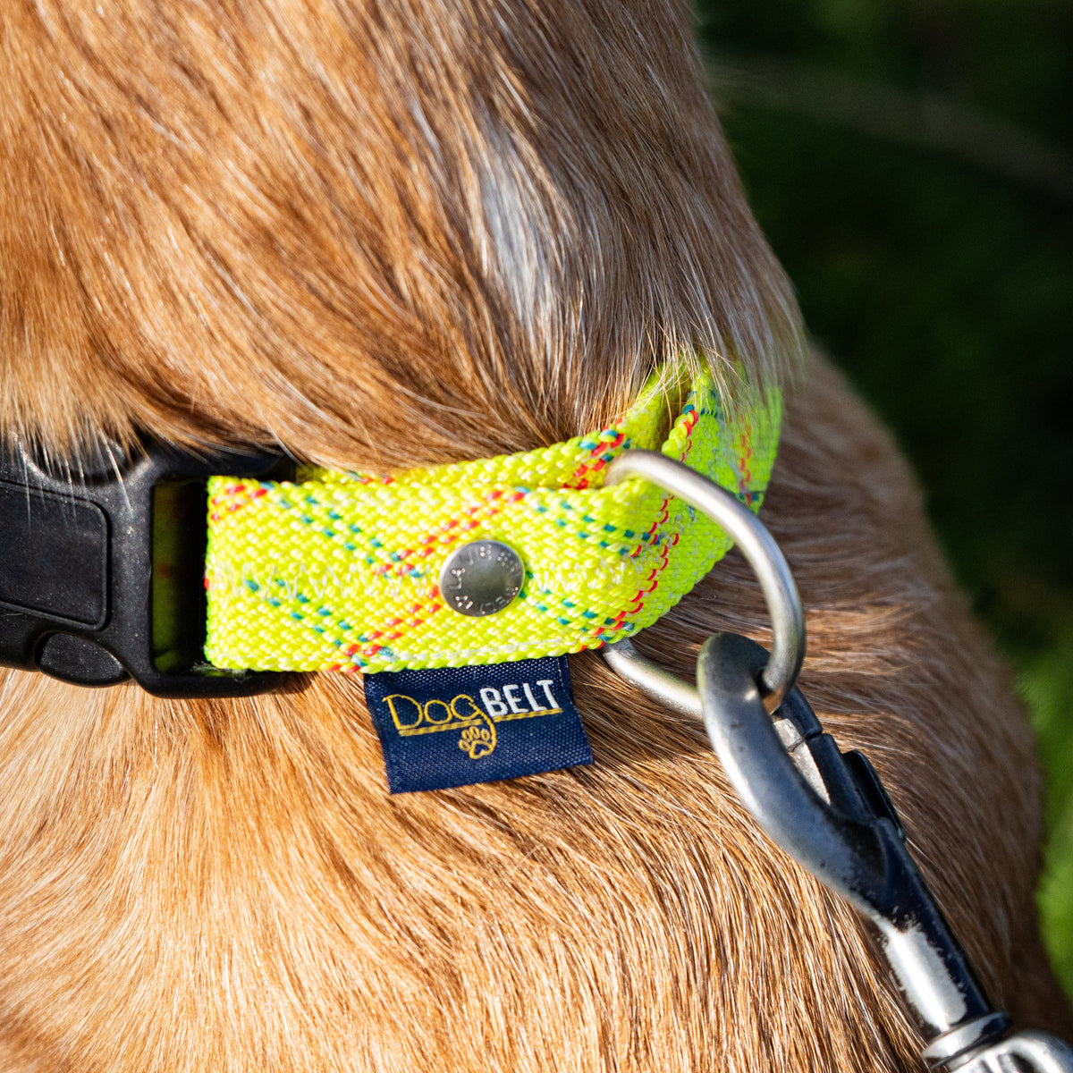 DogBelt Thick Rope Collar