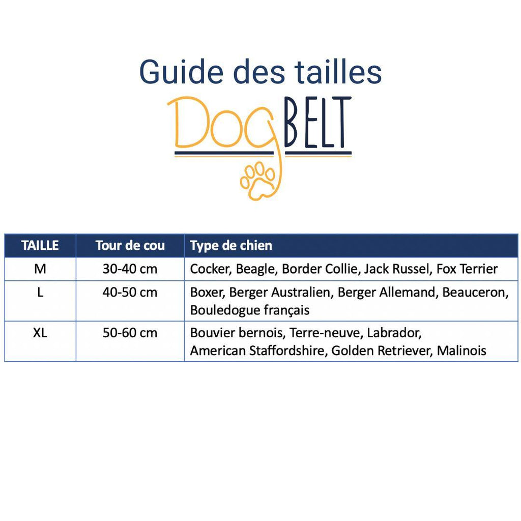 DOGBELT - Dog collar made of car tyre - LA VIE EST BELT