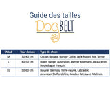 DOGBELT - Collier pour chien en pneu de voiture - LA VIE EST BELT